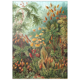 Darstellung des Puzzle Motivs Moss (Muscinae) - Kunstformen in der Natur, Vintage Art Poster, Ernst Haeckel - Puzzleteile: 500