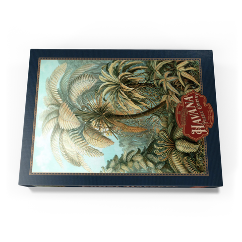 Fern (Filicinae) - Art Forms in Nature, Vintage Art Poster, Ernst Haeckel 1000 Puzzle Schachtel Ansicht3