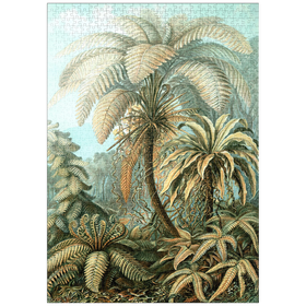 Darstellung des Puzzle-Motivs Farne (Filicinae) - Kunstformen in der Natur, Vintage Art Poster, Ernst Haeckel – Puzzleteile: 1000