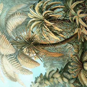 Fern (Filicinae) - Art Forms in Nature, Vintage Art Poster, Ernst Haeckel 1000 Puzzle 3D Modell