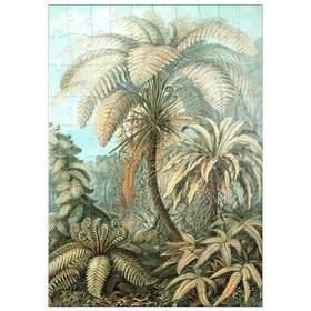 Darstellung des Puzzle Motivs Farne (Filicinae) - Kunstformen in der Natur, Vintage Art Poster, Ernst Haeckel - Puzzleteile: 100