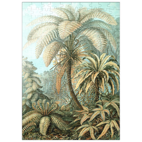 Darstellung des Puzzle Motivs Farne (Filicinae) - Kunstformen in der Natur, Vintage Art Poster, Ernst Haeckel - Puzzleteile: 200