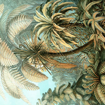 Fern (Filicinae) - Art Forms in Nature, Vintage Art Poster, Ernst Haeckel 200 Puzzle 3D Modell