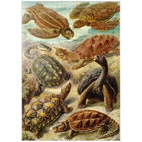 Darstellung des Puzzle-Motivs Schildkröten (Chelonia) - Kunstformen in der Natur, Vintage Art Poster, Ernst Haeckel – Puzzleteile: 1000