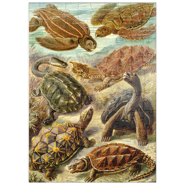puzzleplate Turtle (Chelonia) - Art Forms in Nature, Vintage Art Poster, Ernst Haeckel 100 Puzzle