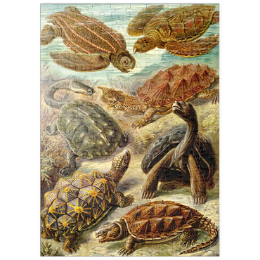 puzzleplate Turtle (Chelonia) - Art Forms in Nature, Vintage Art Poster, Ernst Haeckel 200 Puzzle