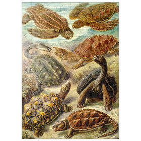 Darstellung des Puzzle Motivs Schildkröten (Chelonia) - Kunstformen in der Natur, Vintage Art Poster, Ernst Haeckel - Puzzleteile: 200