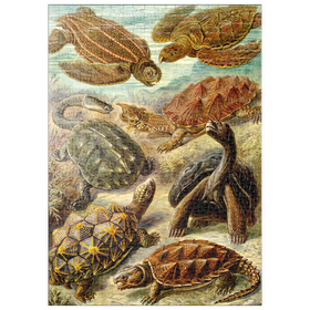 Darstellung des Puzzle Motivs Schildkröten (Chelonia) - Kunstformen in der Natur, Vintage Art Poster, Ernst Haeckel - Puzzleteile: 500