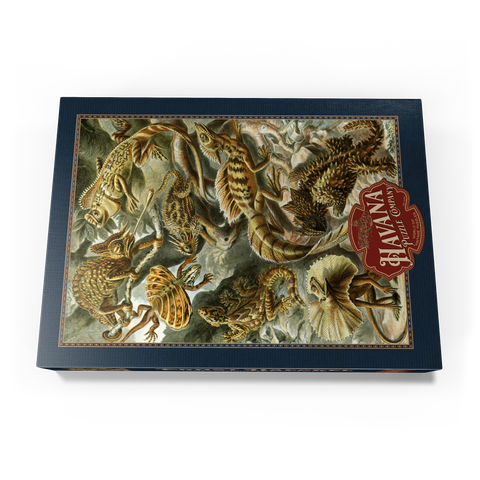 Lizard (Lacertilia) - Art Forms in Nature, Vintage Art Poster, Ernst Haeckel 1000 Puzzle Schachtel Ansicht3