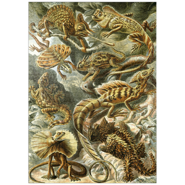 puzzleplate Lizard (Lacertilia) - Art Forms in Nature, Vintage Art Poster, Ernst Haeckel 1000 Puzzle