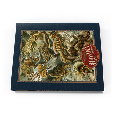 Lizard (Lacertilia) - Art Forms in Nature, Vintage Art Poster, Ernst Haeckel 100 Puzzle Schachtel Ansicht3