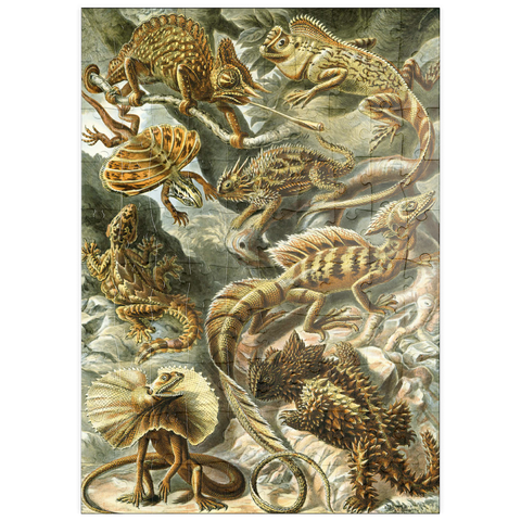 puzzleplate Lizard (Lacertilia) - Art Forms in Nature, Vintage Art Poster, Ernst Haeckel 100 Puzzle