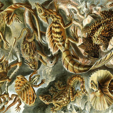 Lizard (Lacertilia) - Art Forms in Nature, Vintage Art Poster, Ernst Haeckel 100 Puzzle 3D Modell