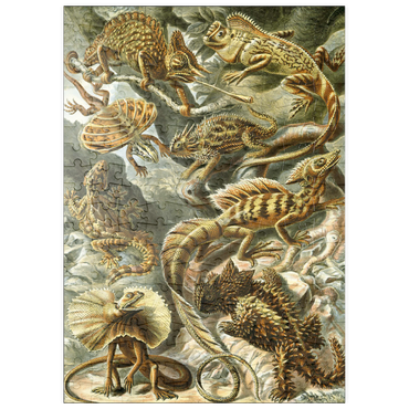puzzleplate Lizard (Lacertilia) - Art Forms in Nature, Vintage Art Poster, Ernst Haeckel 200 Puzzle