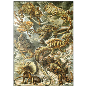 Darstellung des Puzzle Motivs Eidechsen (Lacertilia) - Kunstformen in der Natur, Vintage Art Poster, Ernst Haeckel - Puzzleteile: 200