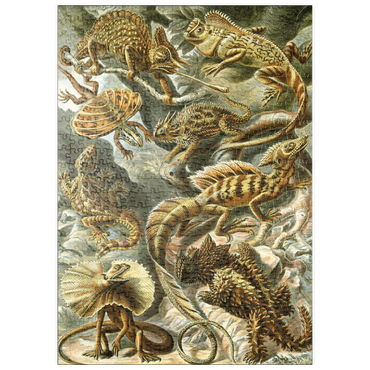 puzzleplate Lizard (Lacertilia) - Art Forms in Nature, Vintage Art Poster, Ernst Haeckel 500 Puzzle