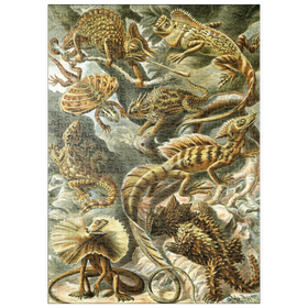 Darstellung des Puzzle Motivs Eidechsen (Lacertilia) - Kunstformen in der Natur, Vintage Art Poster, Ernst Haeckel - Puzzleteile: 500