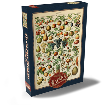 Fructus - Fruits For All, Vintage Art Poster, Adolphe Millot 1000 Puzzle Schachtel Ansicht2
