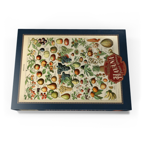 Fructus - Fruits For All, Vintage Art Poster, Adolphe Millot 1000 Puzzle Schachtel Ansicht3