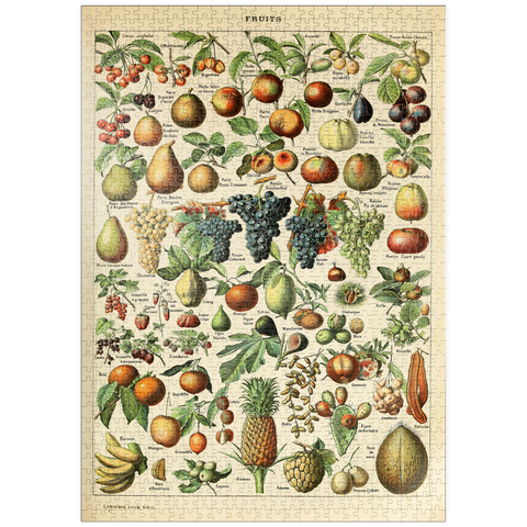 puzzleplate Fructus - Fruits For All, Vintage Art Poster, Adolphe Millot 1000 Puzzle