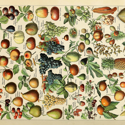 Fructus - Fruits For All, Vintage Art Poster, Adolphe Millot 1000 Puzzle 3D Modell