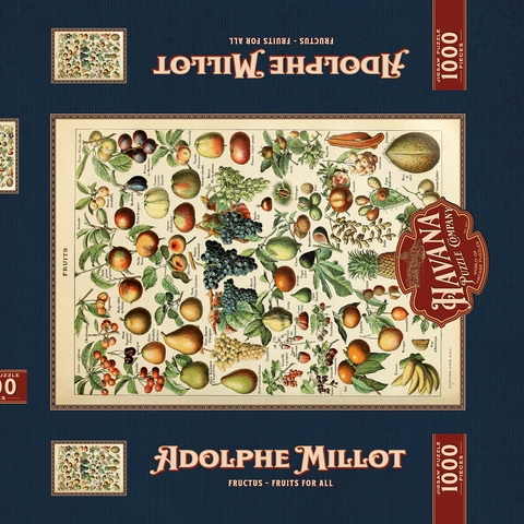 Fructus - Früchte für alle, Vintage Art Poster, Adolphe Millot 1000 Puzzle Schachtel 3D Modell