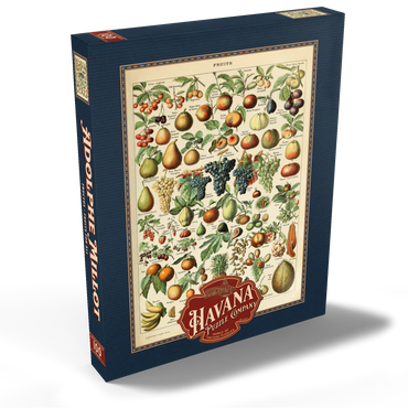 Fructus - Früchte für alle, Vintage Art Poster, Adolphe Millot 100 Puzzle Schachtel Ansicht2