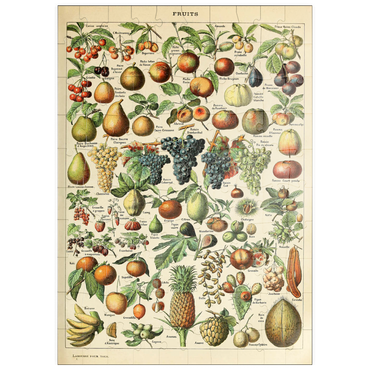 puzzleplate Fructus - Fruits For All, Vintage Art Poster, Adolphe Millot 100 Puzzle