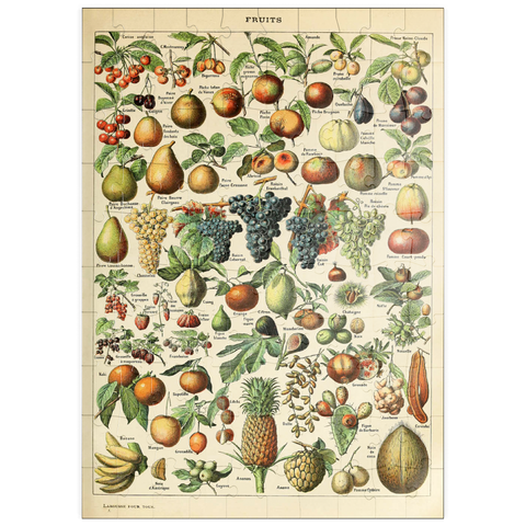 puzzleplate Fructus - Früchte für alle, Vintage Art Poster, Adolphe Millot 100 Puzzle