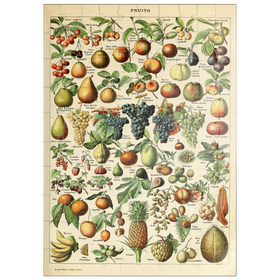 Darstellung des Puzzle Motivs Fructus - Früchte für alle, Vintage Art Poster, Adolphe Millot - Puzzleteile: 100