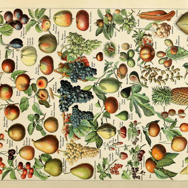 Fructus - Fruits For All, Vintage Art Poster, Adolphe Millot 100 Puzzle 3D Modell
