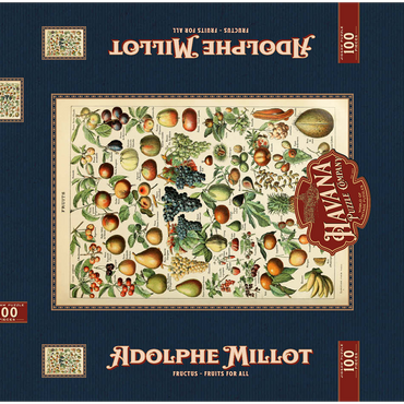 Fructus - Früchte für alle, Vintage Art Poster, Adolphe Millot 100 Puzzle Schachtel 3D Modell