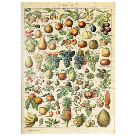 puzzleplate Fructus - Früchte für alle, Vintage Art Poster, Adolphe Millot 200 Puzzle