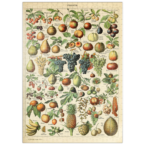 puzzleplate Fructus - Fruits For All, Vintage Art Poster, Adolphe Millot 500 Puzzle