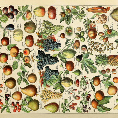 Fructus - Fruits For All, Vintage Art Poster, Adolphe Millot 500 Puzzle 3D Modell
