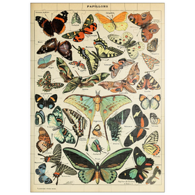 Darstellung des Puzzle-Motivs Papillons - Schmetterlinge für alle, Vintage Art Poster, Adolphe Millot – Puzzleteile: 100