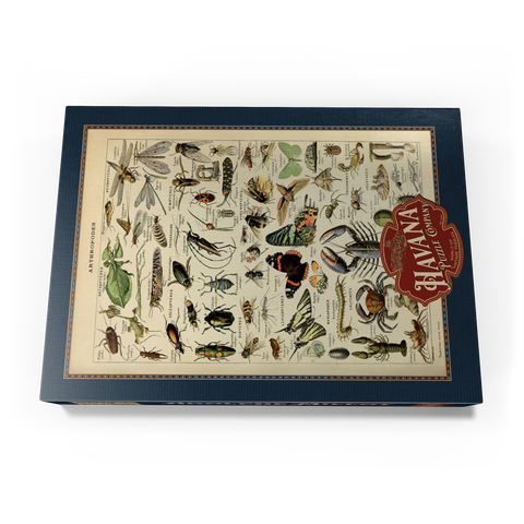 Arthropoda For All, Vintage Art Poster, Adolphe Millot 1000 Puzzle Schachtel Ansicht3