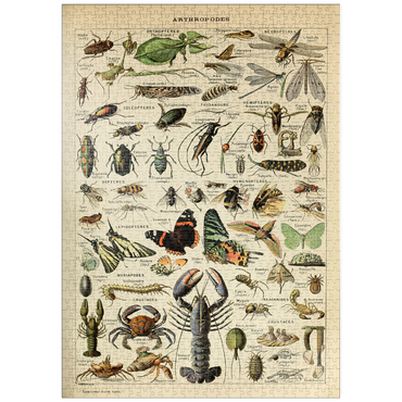 puzzleplate Arthropoda For All, Vintage Art Poster, Adolphe Millot 1000 Puzzle