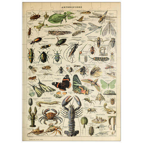 puzzleplate Arthropoda For All, Vintage Art Poster, Adolphe Millot 100 Puzzle