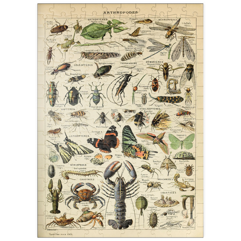 puzzleplate Arthropoda For All, Vintage Art Poster, Adolphe Millot 200 Puzzle