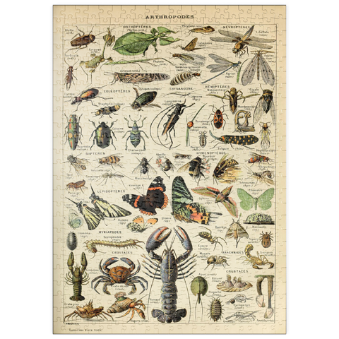 puzzleplate Arthropoda For All, Vintage Art Poster, Adolphe Millot 500 Puzzle