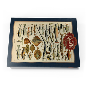 Fish For All, Vintage Art Poster, Adolphe Millot 1000 Puzzle Schachtel Ansicht3