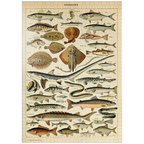 puzzleplate Fish For All, Vintage Art Poster, Adolphe Millot 1000 Puzzle