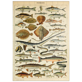 Darstellung des Puzzle-Motivs Fisch für alle, Vintage Art Poster, Adolphe Millot – Puzzleteile: 100