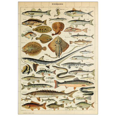 puzzleplate Fish For All, Vintage Art Poster, Adolphe Millot 100 Puzzle