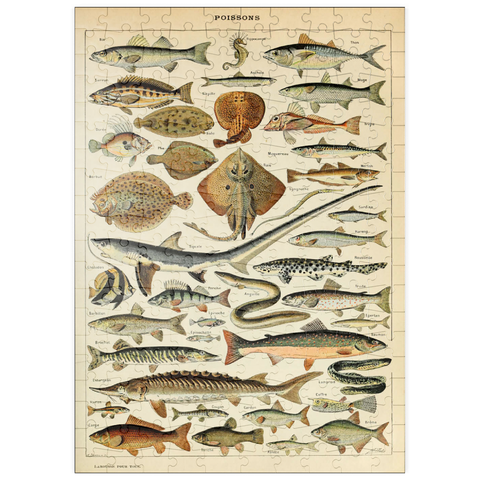 puzzleplate Fish For All, Vintage Art Poster, Adolphe Millot 200 Puzzle