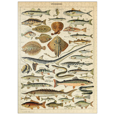 puzzleplate Fish For All, Vintage Art Poster, Adolphe Millot 500 Puzzle