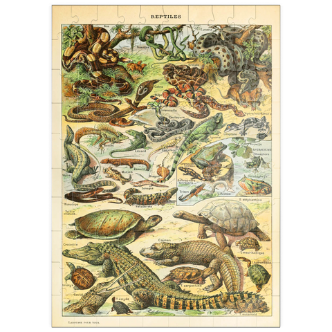 puzzleplate Reptiles For All, Vintage Art Poster, Adolphe Millot 100 Puzzle