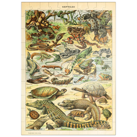 Darstellung des Puzzle Motivs Reptilien für alle, Vintage Art Poster, Adolphe Millot - Puzzleteile: 100