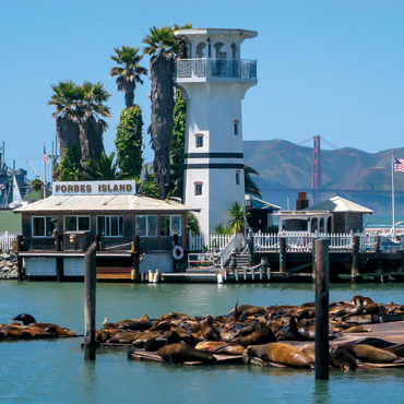Seelöwenkolonie am Pier 39 des Fisherman's Wharf - San Francisco, Kalifornien, USA 100 Puzzle 3D Modell